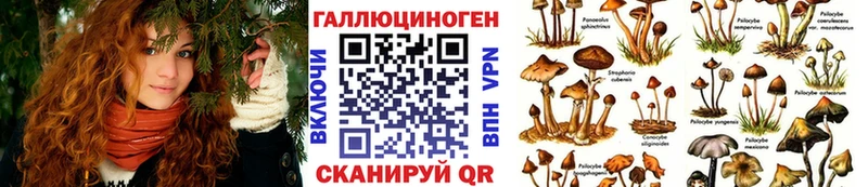 Купить  Тында  Галлюциногенные грибы Cubensis 